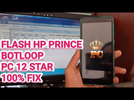 Prince pc12 star firmware -  updated April 2024